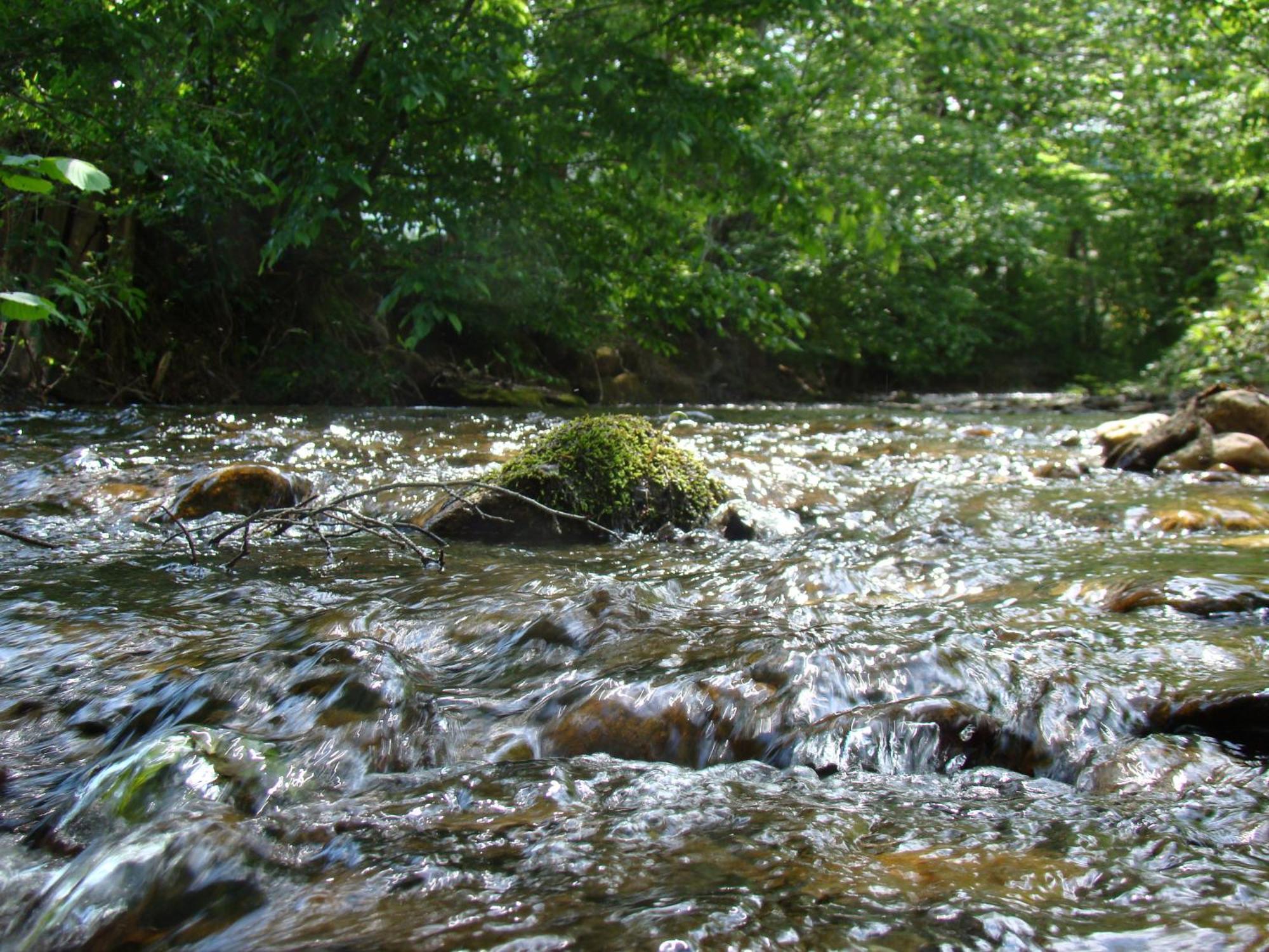 Gasthof Stegweber Schwanberg Εξωτερικό φωτογραφία